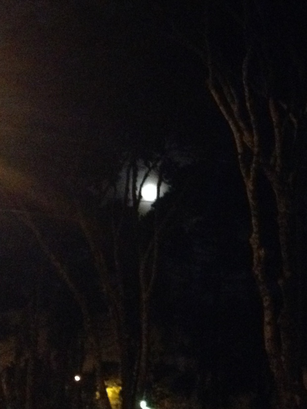Não conseguimos ver a super blood moon, mas a lua continua linda!